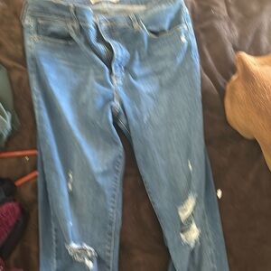 Levi’ Strauss & CO